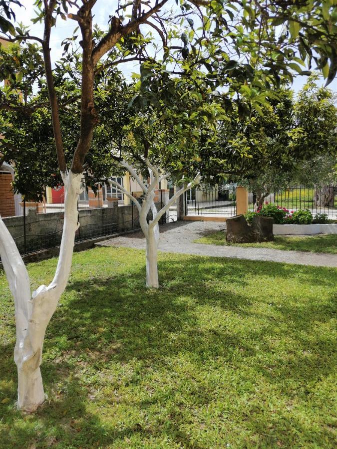 Nikos Apartments 1 กาวอส ภายนอก รูปภาพ